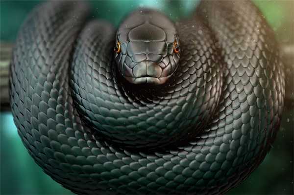 Черная мамба