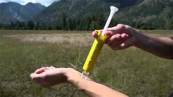 Гремучие змеи в Калифорнии