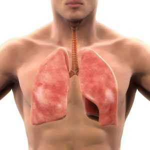 Медиастиноскопия