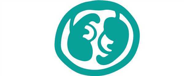 Близняшки или двойняшки